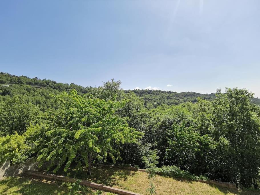 Appartement 2 Ou 4 Personnes. Venaco Venaco  Exteriör bild